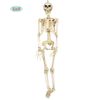 Afbeelding van Halloween decoratie skelet