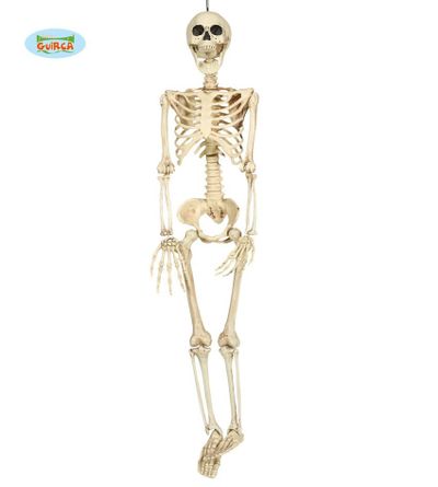 Halloween decoratie skelet
