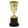 Afbeelding van Gouden trofee (25 cm.)