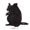 Afbeelding van Halloween zwarte rat