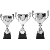 Afbeelding van Trofee Zilver met Handvatten Groot
