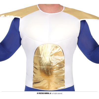 Dragon Ball Z Vegeta kostuum
