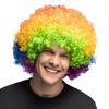 Afbeelding van Afro Pruik Regenboog