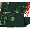 Afbeelding van Batman Poison Ivy Kostuum