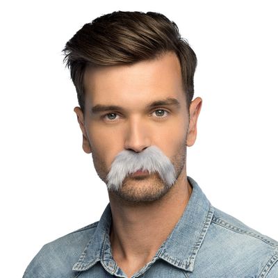 Foto van Snor grijs