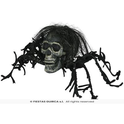 Foto van Spin Met Doodskop