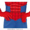 Afbeelding van Spiderman pak kind