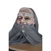 Afbeelding van Perkamentus / Gandalf masker
