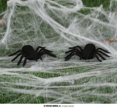 Halloween zwarte spin