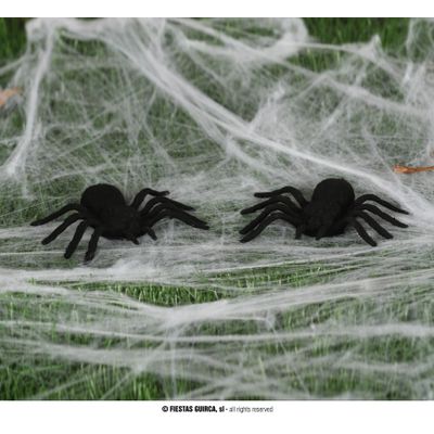 Foto van Halloween zwarte spin