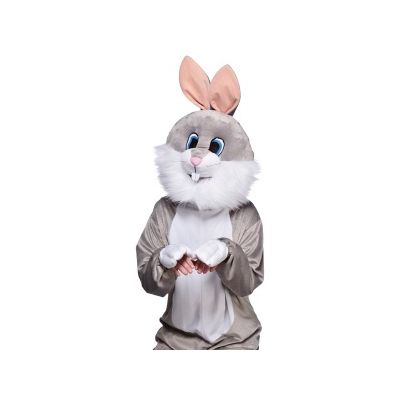 Foto van Mascotte Pak Paashaas Grijs
