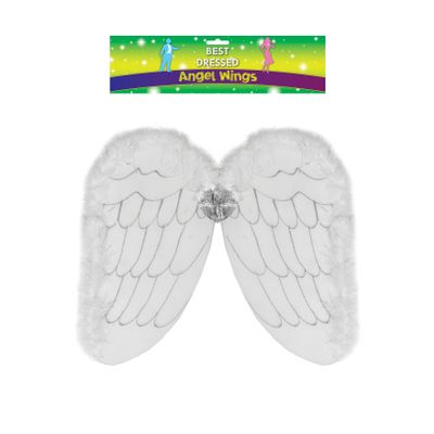 Foto van Engelenvleugels met dons