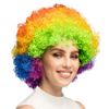 Afbeelding van Afro Pruik Regenboog