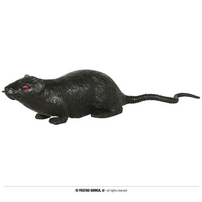 Foto van Halloween zwarte rat mini