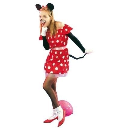 Nationaal haar Overeenkomend Minnie mouse kostuum kopen? || Confettifeest.nl