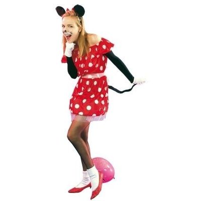 Foto van Minnie mouse kostuum