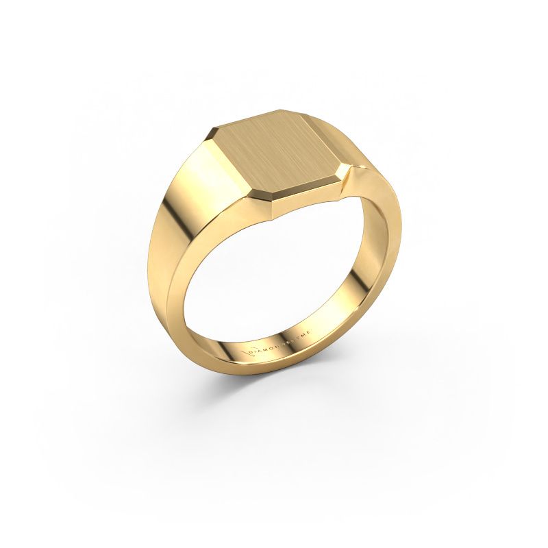 Pinky ring Abel 1 585 gold