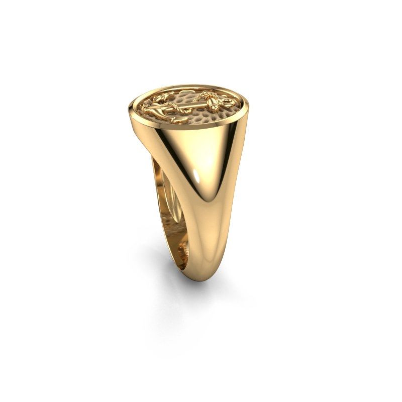 Afbeelding van Heren ring Roger<br/>585 goud