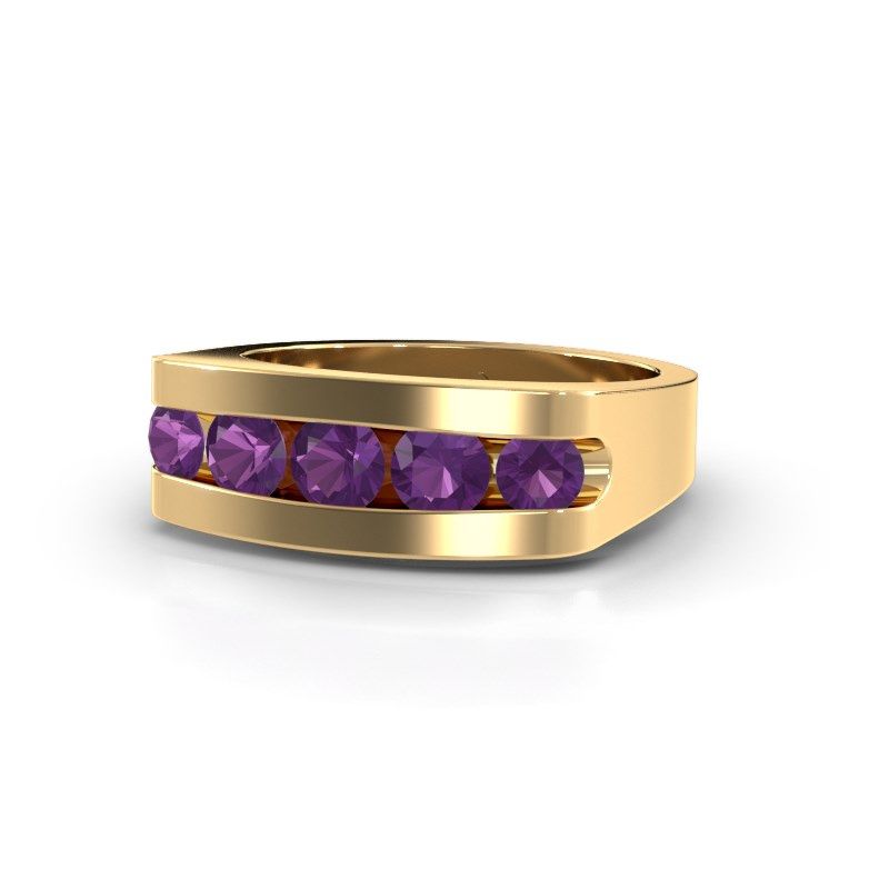 Image of Men's ring Richard<br/>585 gold<br/>Amethyst 4 mm