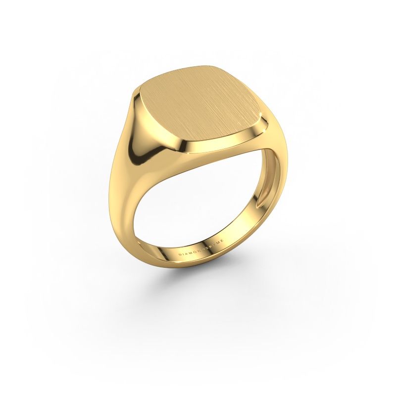 Men's ring Pepijn 3 Light 585 gold