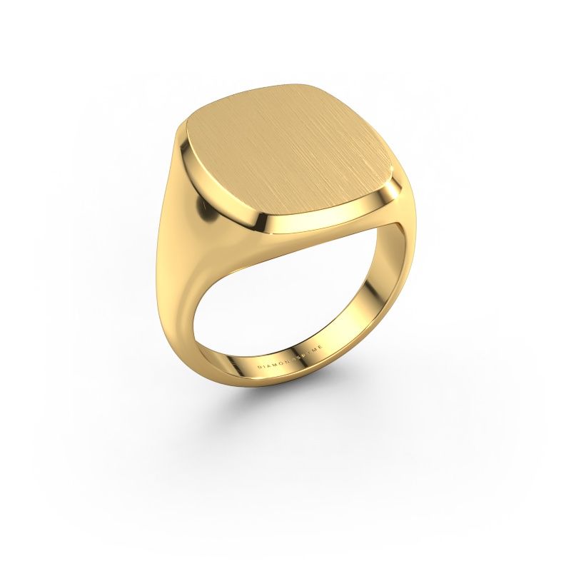 Heren ring Pepijn 4 585 goud