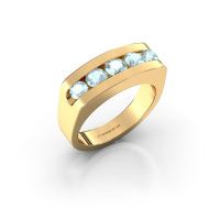 Afbeelding van Heren ring Richard<br/>585 goud<br/>Aquamarijn 4 mm
