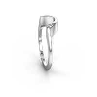Afbeelding van Aanschuifring SRH0638C302<br/>950 platina