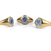 Afbeelding van Pinkring Herman 1<br/>585 goud<br/>Licht blauwe lagensteen 10x8 mm