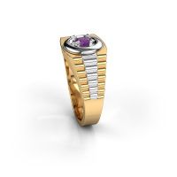 Image de Bague pour homme edward<br/>585 or jaune<br/>Améthyste 4.7 mm