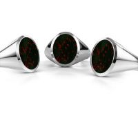 Afbeelding van Zegelring Herman 4<br/>950 platina<br/>Heliotroop 15x12 mm