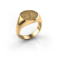 Image of Family crest ring dex<br/>585 gold