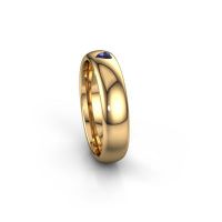 Image of Friendship ring WH0101L35BPHRT<br/>585 gold ±5x2 mm<br/>Sapphire
