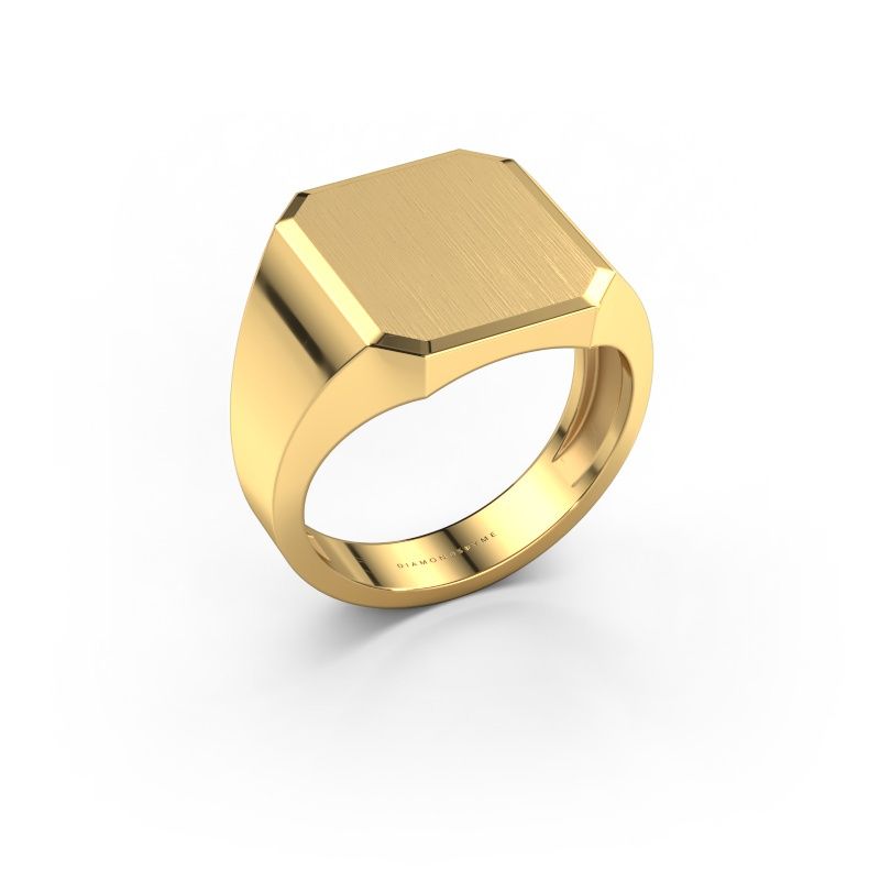 Signet ring Abel 3 light 585 gold