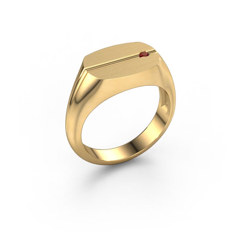 Men's ring Stijn 585 gold garnet 2 mm