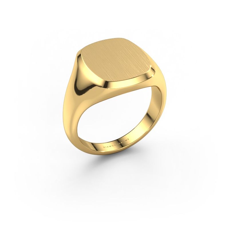 Heren ring Pepijn 3 585 goud