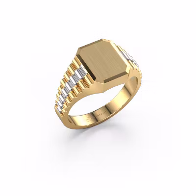 Signet ring Erik 1 585 gold