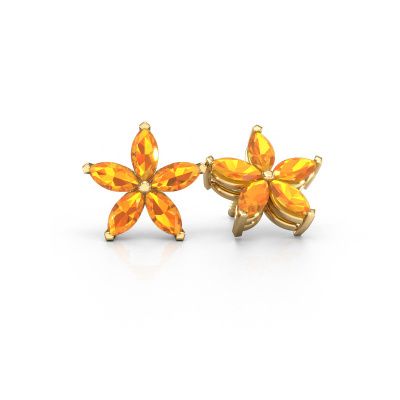 Clous d'oreilles Sylvana 585 or jaune citrine 5x2.5 mm