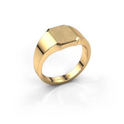 Pinky ring Abel 1 585 gold