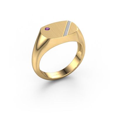 Men's ring Bram 2 585 gold amethyst 2 mm