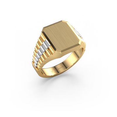 Signet ring Erik 2 585 gold