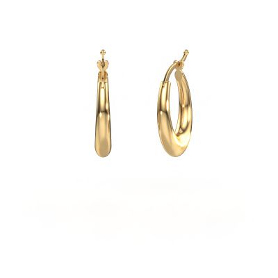 Hoop earrings Avis 585 gold