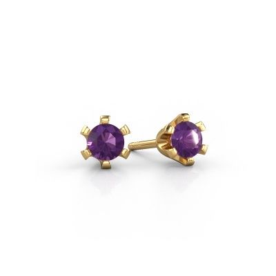 Stud earrings Shana 585 gold amethyst 4 mm