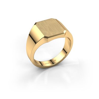 Signet ring Abel 2 585 gold