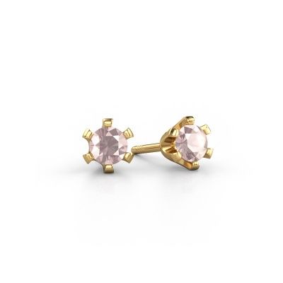 Stud earrings Shana 585 gold morganite champagne 4 mm