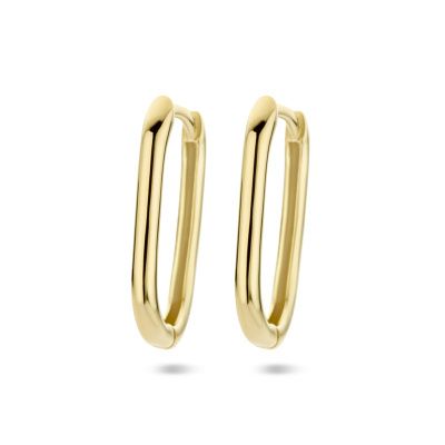 Hoop earrings Denese 585 gold