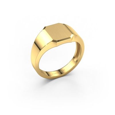 Pinky ring Abel 1 light 585 gold