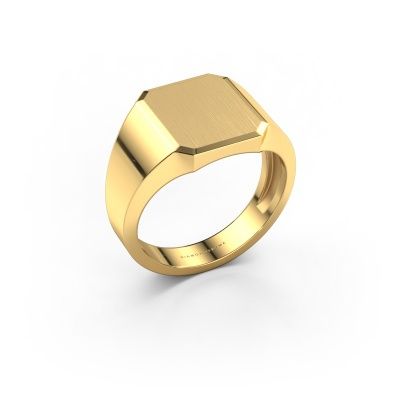 Signet ring Abel 2 light 585 gold