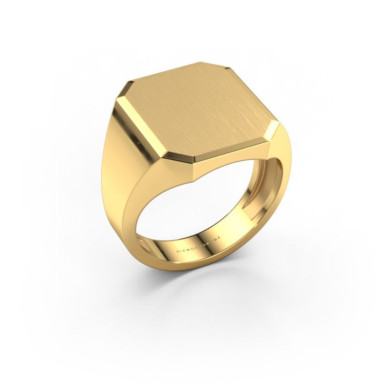 Signet ring Abel 5 light 585 gold