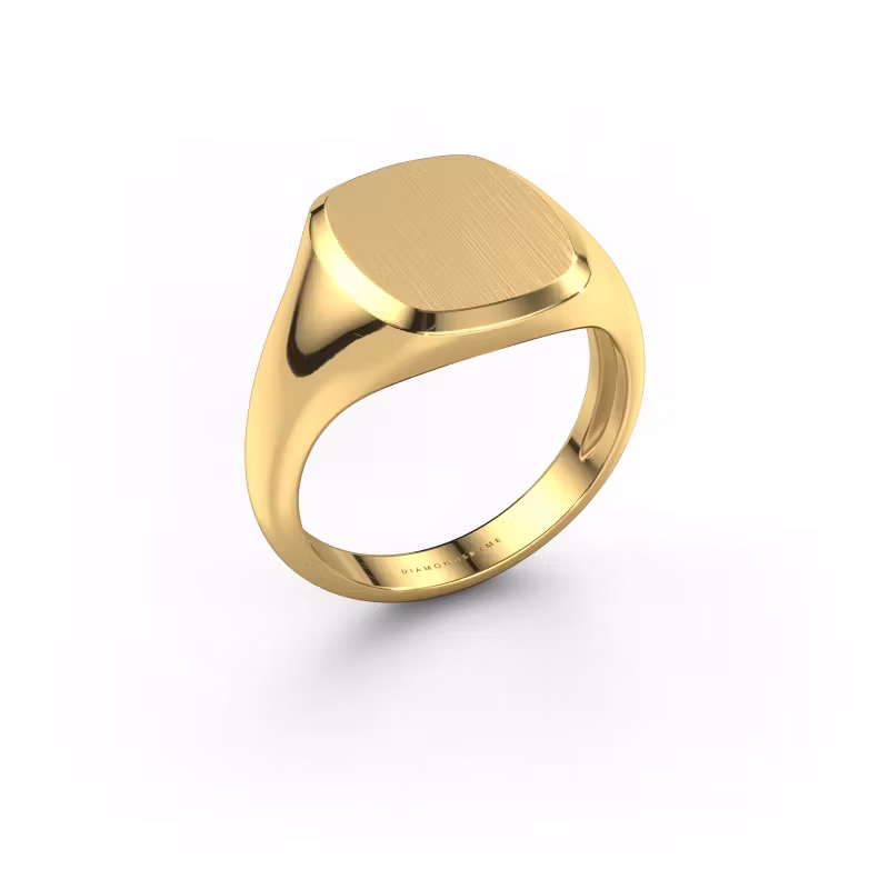 Signet ring Pepijn 2 Light 585 gold