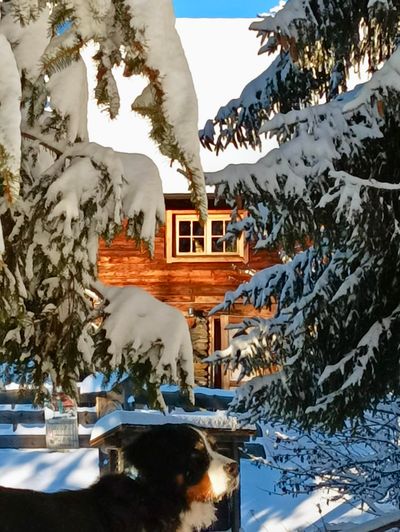 Almgasthof in Kärnten uniek